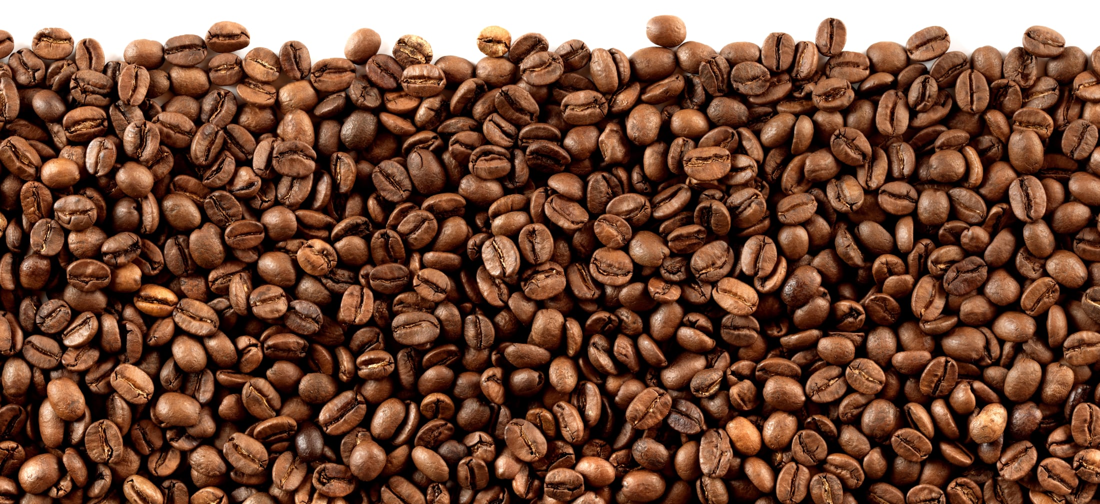 Kaffee Anbaugebiet