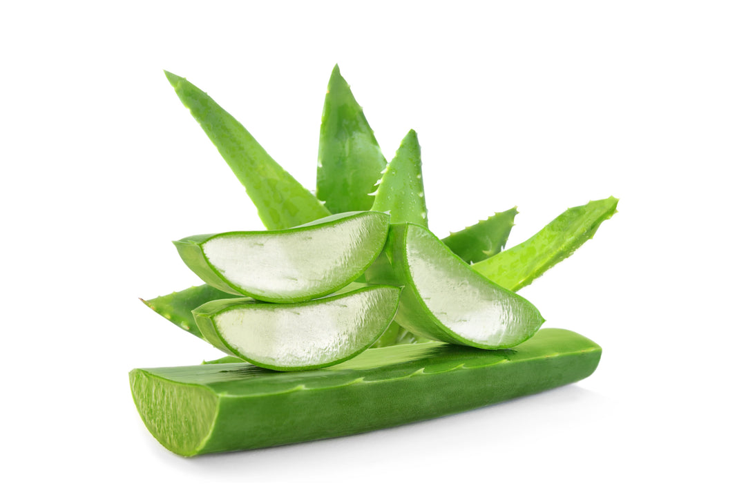 Tee-Zutat: Aloe Vera
