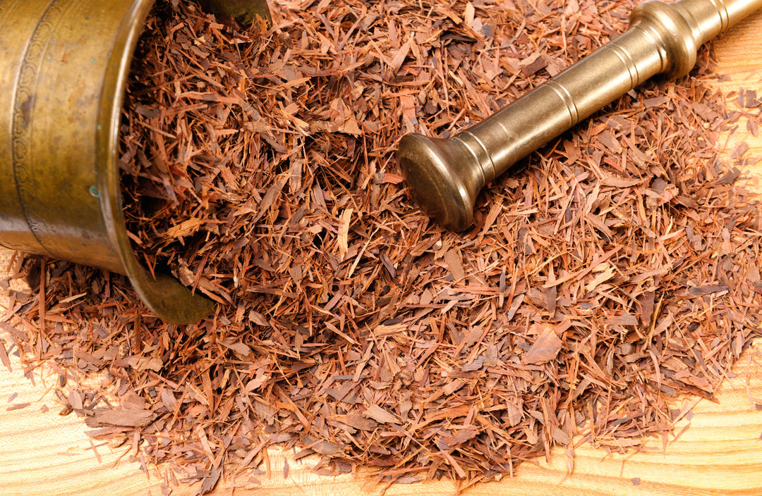 Lapacho-Tee – Die Kraft der Inka in der Tasse