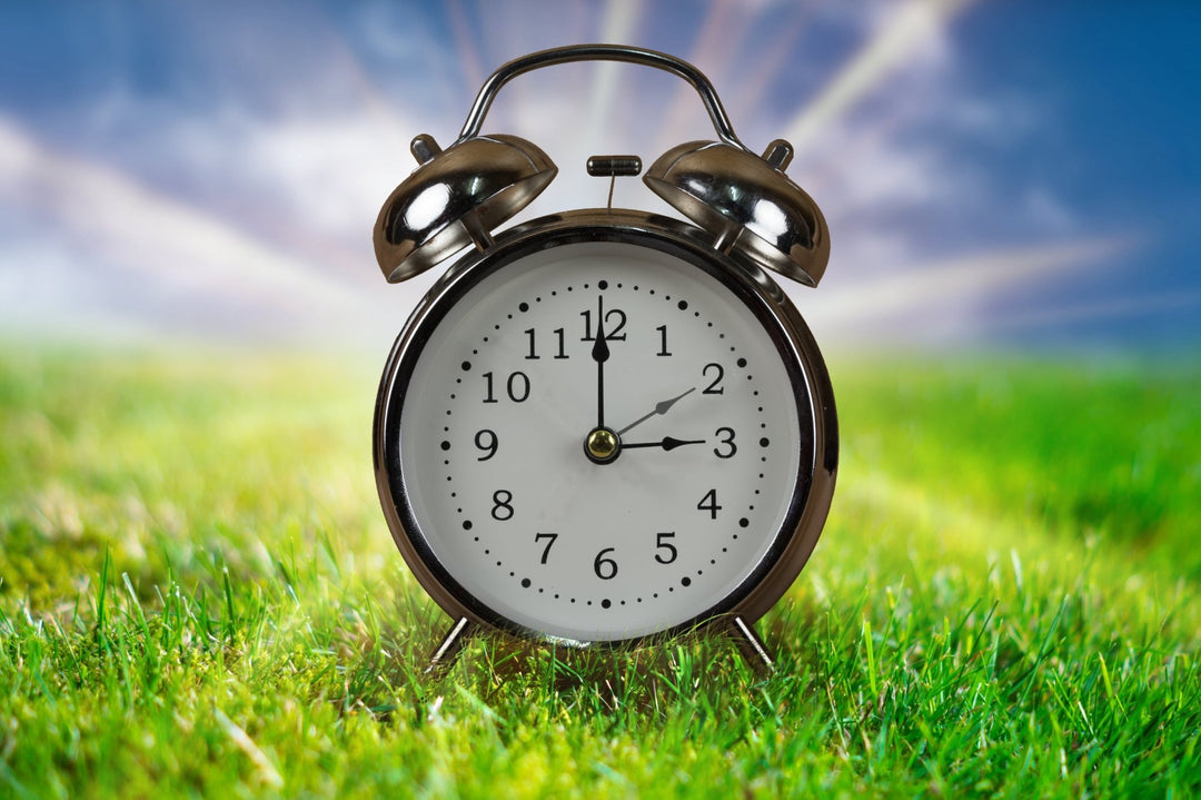 Der Start der Sommerzeit: Eine neue Teesaison beginnt - Nibelungentee