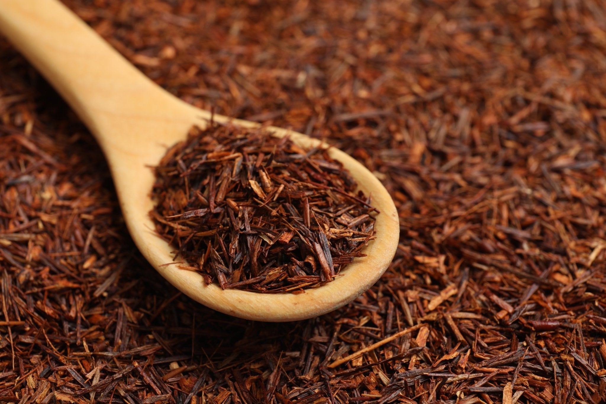 Rooibos Tee: Der rote Schatz aus Südafrika - Nibelungentee