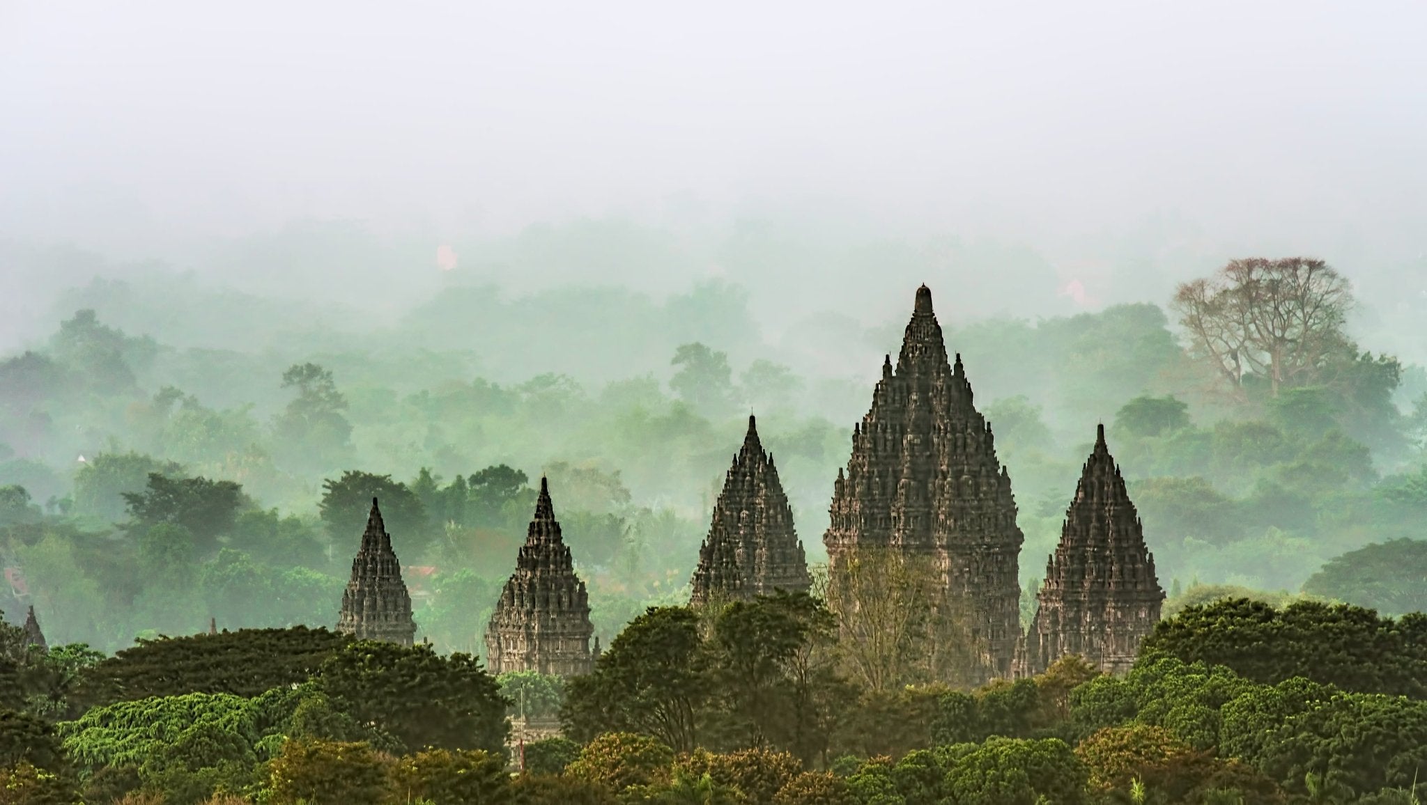 Tee aus Indonesien im Alltag: Teekultur, moderne Trends und Genuss-Tipps - Nibelungentee