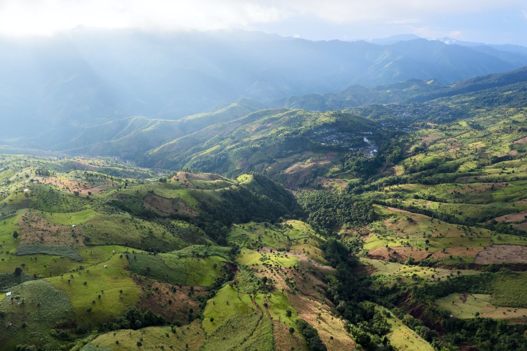 Tee aus Vietnam: Vielfalt und Tradition einer alten Teekultur - Nibelungentee