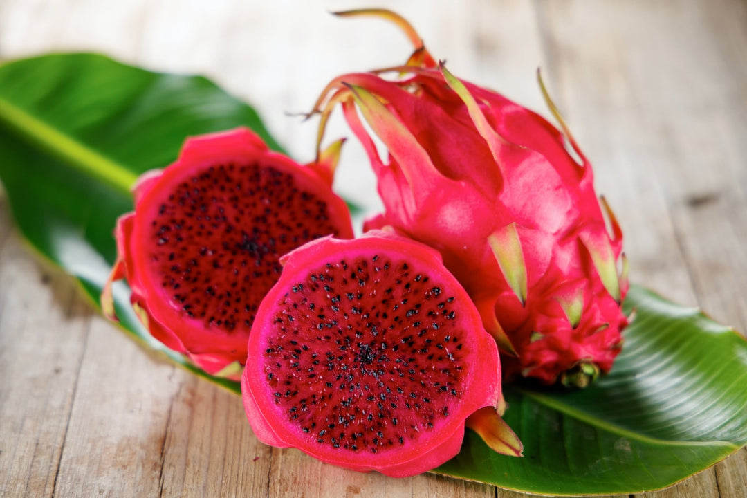 Tee mit Drachenfrucht-Geschmack - Nibelungentee