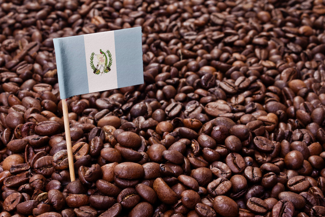 Kaffee aus Guatemala
