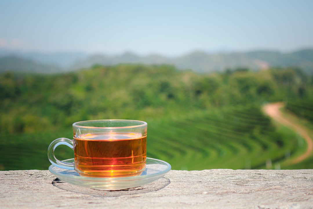 Eine Glastasse mit Nepal Tee