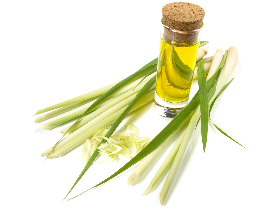 Tee-Zutat: Lemongrasöl