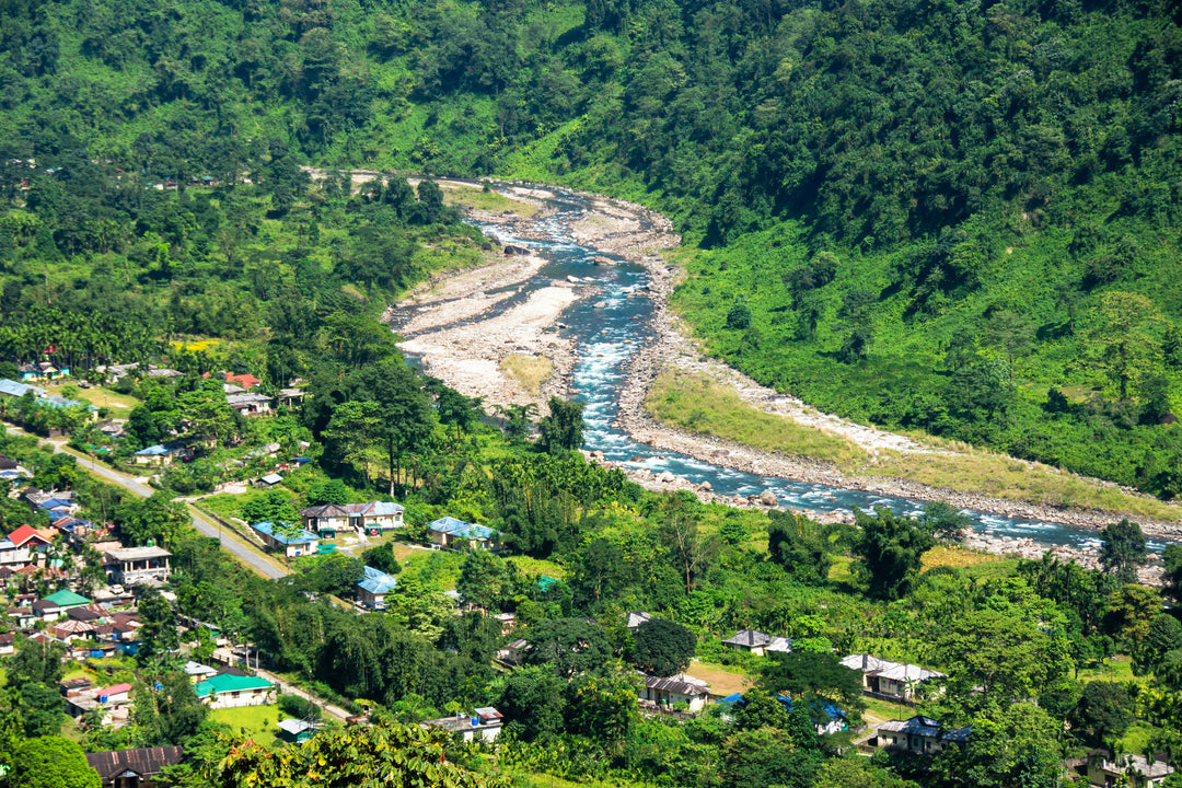 Tee aus Dooars wird immer beliebter