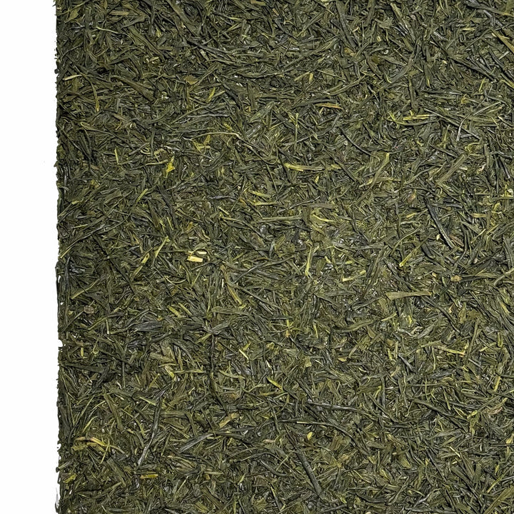 Bio - Japan Sencha