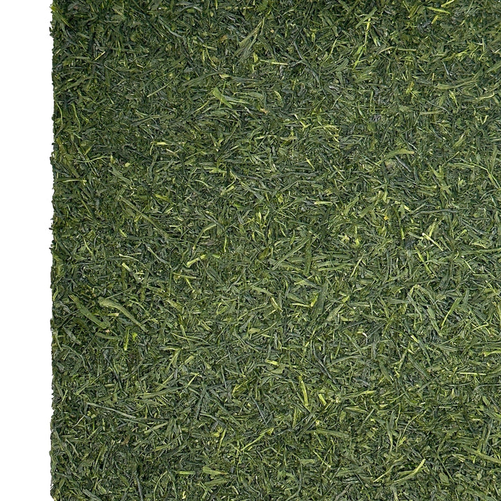 Bio Japan Shincha Makizono 2026