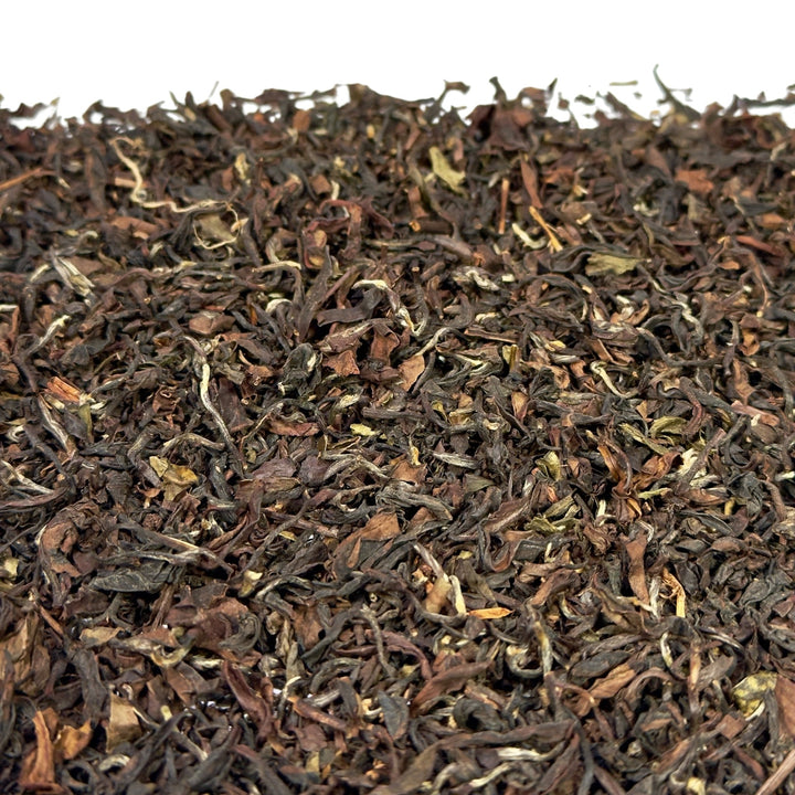 Formosa Butterfly of Taiwan