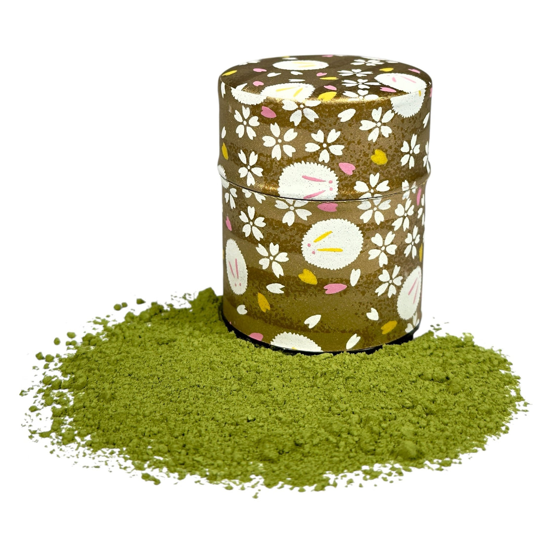 Japan Matcha Wazuka Premium Bio
