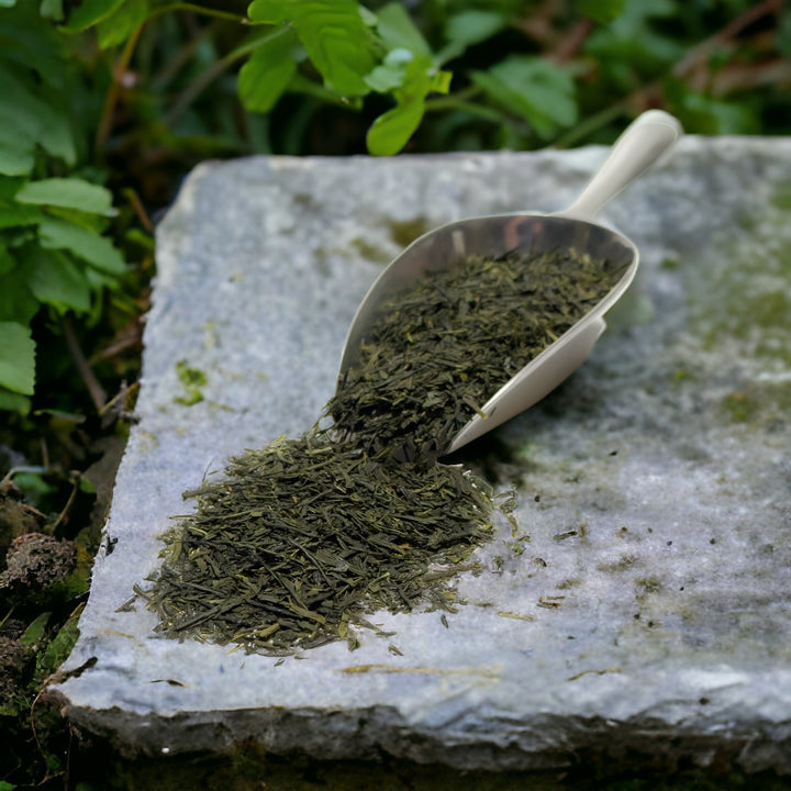 Japan Sencha Fukujyu