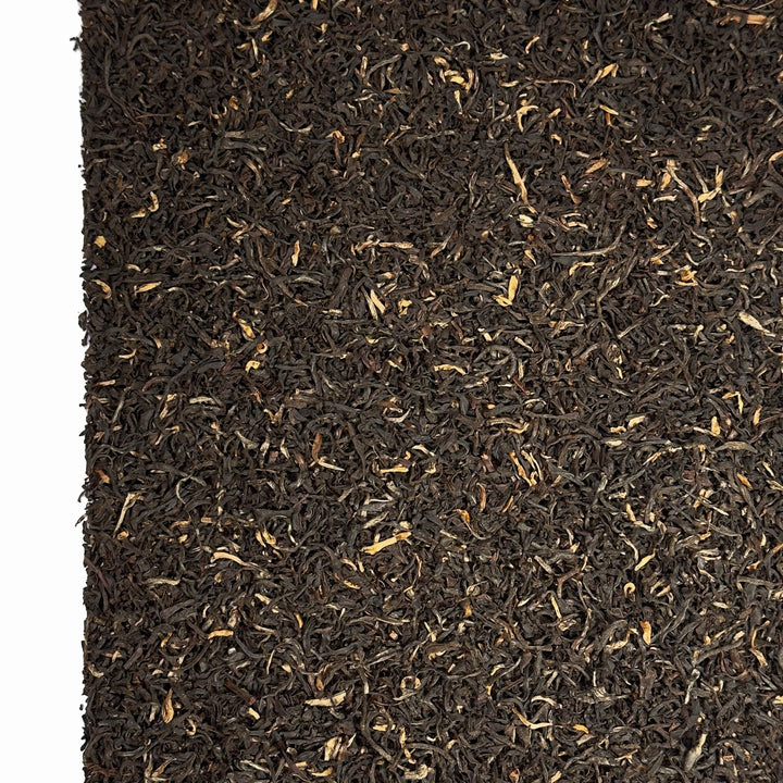 Kenya GFOP Typ Milima