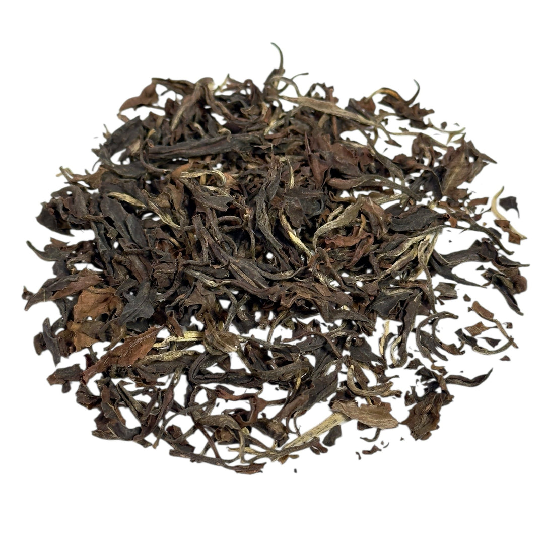 Kolumbien Amber Oolong Bio