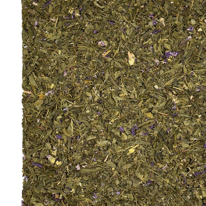 Sencha Kombucha Pflaume